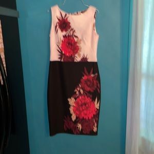 Size 6 Gabby Skye dress